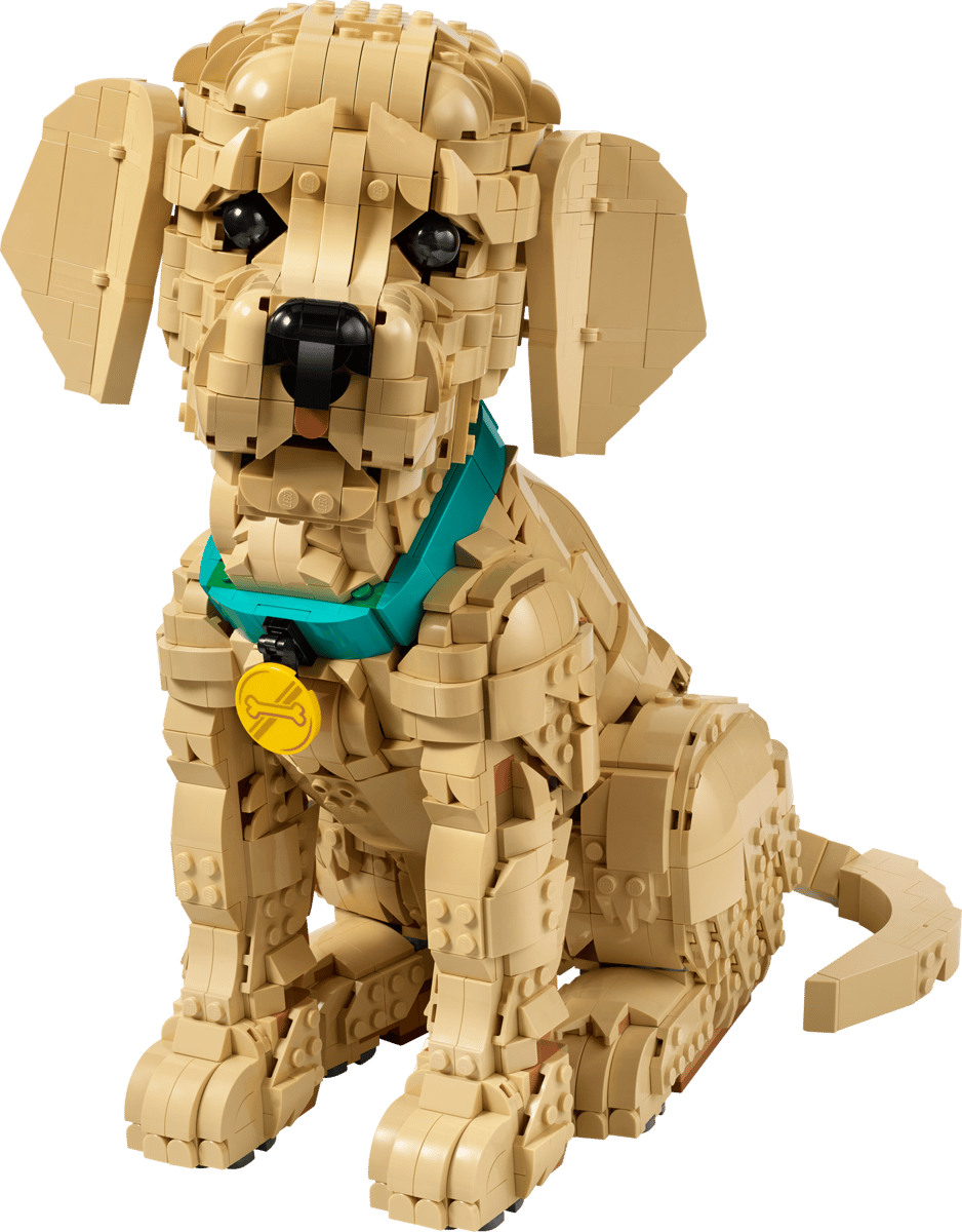 Lego: Icons - Golden Retriever Puppy (11384)