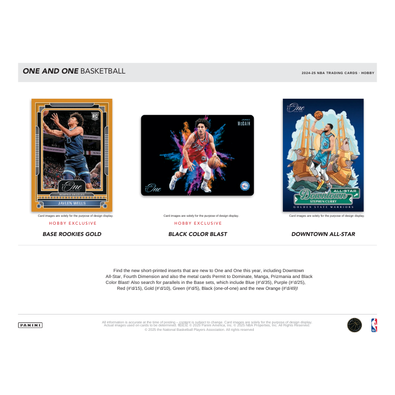2024/25 Panini One & One Basketball Hobby 10 Box Case